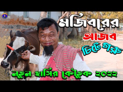 কুরবানির গরু নিয়ে বিপাকে পড়লেন মজিবর | Bangla Funny Video | Mojiborer Comedy Video 2022