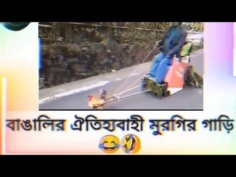 বাঙালির ঐতিহ্যবাহী মুরগির গাড়ি 🥴😂😂 | Very Very Funny Video 🤣🤣 | হাসির ভিডিও | Bangla Funny Video |