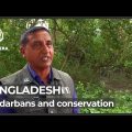 Bangladesh: Sundarbans tourism ban leaves communities in hardship