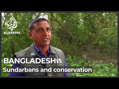 Bangladesh: Sundarbans tourism ban leaves communities in hardship