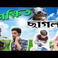 শিক্ষিত ছাগল || Sikhito Chagol || Bangla Funny Video || it's Galaxy Fun TV.