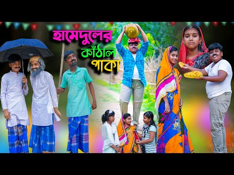 হামেদুলের কাঁঠাল পাকা বাংলা ফানি ভিডিও || Bengali Comedy Funny Natok 2022