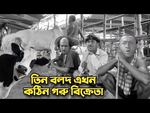 Three Stooges Cow Seller | Bangla Funny Dubbing | Bangla Funny Video | Khamoka tv