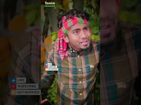 ডেঞ্জারেস দেশি আমওয়ালা 🤣   #Zan Zamin #Bangla Funny Video #Shorts