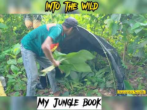 গহীন জঙ্গলে একা ক্যাম্পিং |Into the wild | Travel Bangladesh |