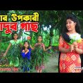 তমার উপকারী জাদুর গাছ  || Toma  Upokari jadur gach || Toma Bangla New Natok || 2021 ||