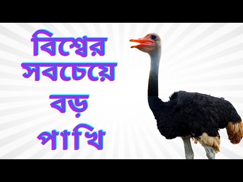 বিশ্বের সবচেয়ে বড় পাখি || Bangladesh National Zoo || Travel With Azad