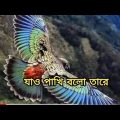 Bangla music video official