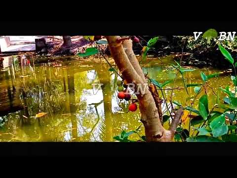 Introduce to Bangladeshi natural view part:01 |Travel Beautiful Bangladesh: Land of Stories & Rivers