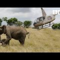 Elephants rescued by helicopter 🐘🚁 – Equator from the Air – BBC