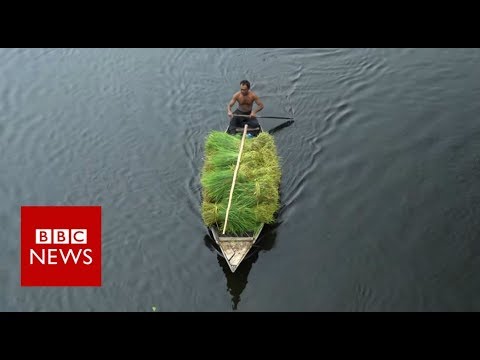 The Floating Farms of Bangladesh – BBC News