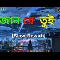 Jaan Re Tui(জান রে তুই) [Slow+Revarb] | Bangla Song | F A Sumon | BORING LIFE
