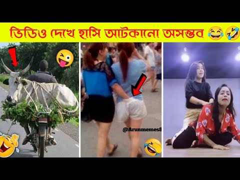 দুনিয়ার সবচেয়ে মজার ভিডিও 😂| Bangla funny video | Mayajaal