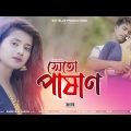 সেইতো পাষাণ । Sheto Pashan । Bangla Sad Aminur kakoli New video song 2022..