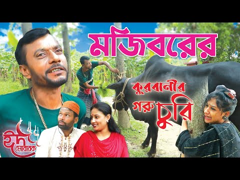 কুরবানির গরু চুরি | Kurbanir Goru Churi | Mojiborer new comedy video 2022 by Mojibor & Badsha