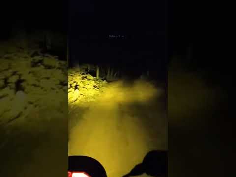 Midnight  travelling in the Jungle. #shortvideo #short #travel #bangladesh