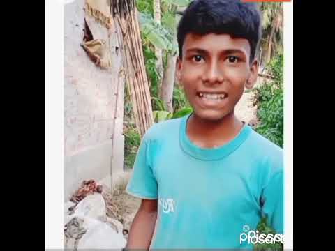 Best Bangla Funny Video Top Comedy Video No YouTube