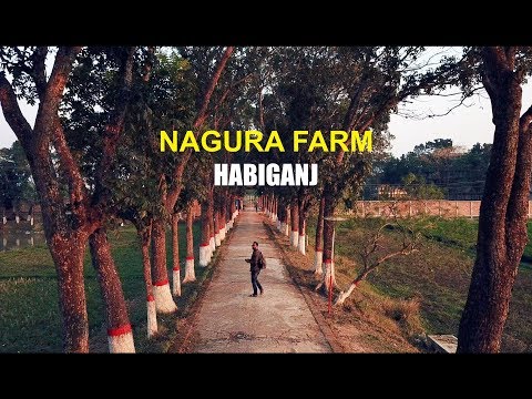 Nagura Farm Rickshaw Tour – HABIGANJ Drone | Bangladesh vlog
