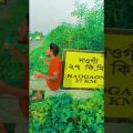 বাংলা বঝেনা 🤦‍♀️🤣 Bangla Funny Video