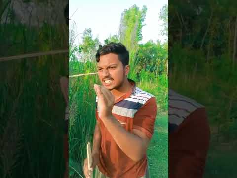 H.S.C এর মানে কি ? 😃😃 Bangla Funny Video