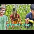 কুইশ্যাল চোৰ  || Bangla Funny video 😅😅 || Bekar Dada