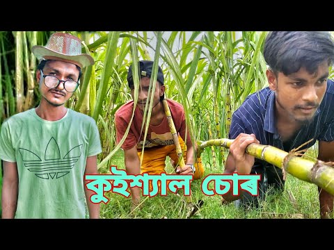 কুইশ্যাল চোৰ  || Bangla Funny video 😅😅 || Bekar Dada