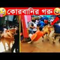 কোরবানির গরুর হাট 2022😂হাস্যকর ও মজার ঘটনা😂korbanir gorur haat😂Bangla funny video😂Facts Tube