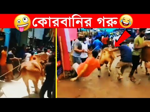 কোরবানির গরুর হাট 2022😂হাস্যকর ও মজার ঘটনা😂korbanir gorur haat😂Bangla funny video😂Facts Tube