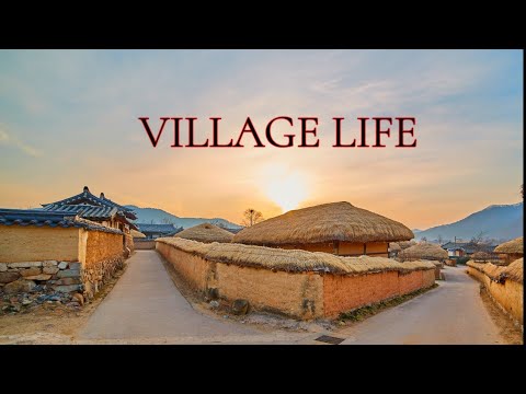 My Village | Bangladesh travel video | MY FIRST VLOG