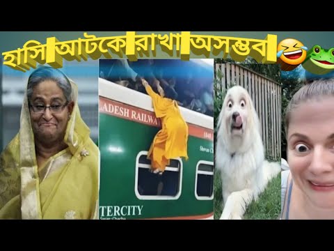 অস্থির বাঙালি 😂 part 20 // Bangla new funny video // ru ha ha be funny // mayajaal // funny facts //