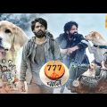 777 Charlie (2022) Latest Released Blockbuster Hindi Dubbed Full Movie | Rakshit Shetty
