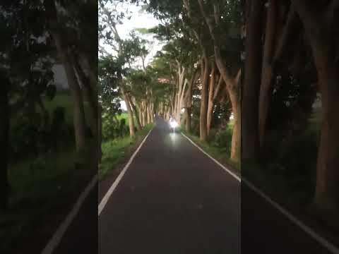 Natural view of a beautiful road #shorts #travel #bangladesh