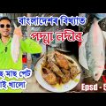 Taste Bangladesh's Famous Elish Fish in front of Padma River. 😋😋 video by Bhukhan Pathak. Epsd- 5
