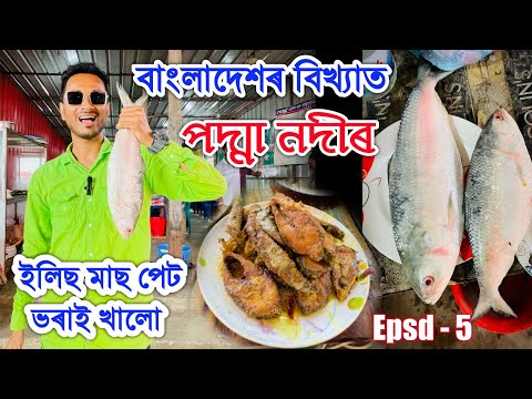 Taste Bangladesh's Famous Elish Fish in front of Padma River. 😋😋 video by Bhukhan Pathak. Epsd- 5