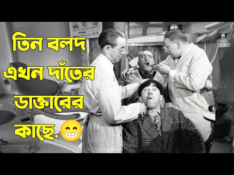 Three Stooges at the dentist | Bangla Funny Dubbing | Bangla Funny Video | Khamoka tv