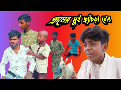 (দুই চোর নিয়ে বিচার) || Bangla Funny Video || Comedy Video 2022 @Palli Gram TV