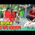 দিহানের কথা বলা খরগোশ | Dihaner kotha bola khorgos | comedy natok |Fairy Angel Story In Bengali