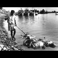 The 1971 Bangladesh Genocide (Social Studies 20)