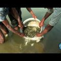 Bangladesh: The Future of Small Fish