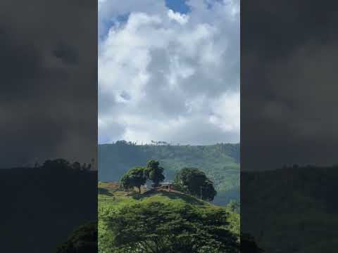 It's Heaven | Bandarban #shorts #bandarban #tour #travel #bangladesh #go4x3 #shortvideo #trending