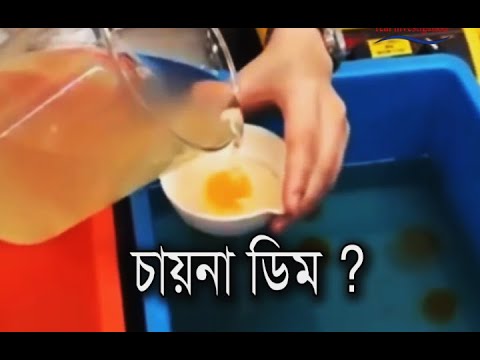 বাংলাদেশে চায়না ডিম ? China Egg in Bangladesh ?