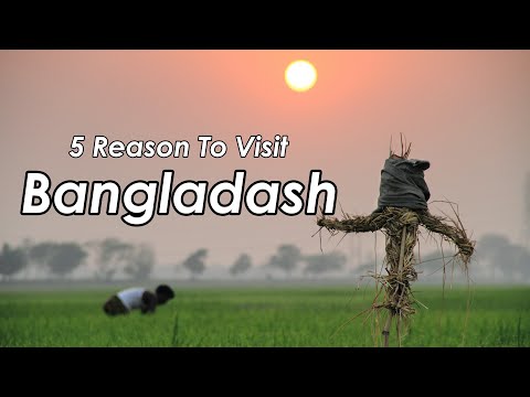 Top 5 Reasons You Should Visit Bangladesh | Travel Bangladesh