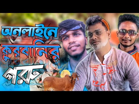 অনলাইনে কুরবানির গরু Bangla Funny Video Kalagachia Multimedia