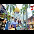 Singapore Travel From Bangladesh |Part 3 | Arab street | Haji Lane || Night Safari | Sultan Mosque |