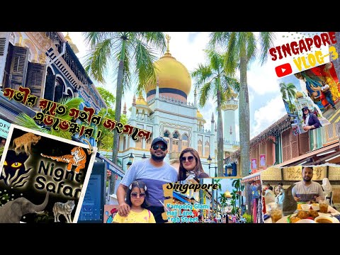 Singapore Travel From Bangladesh |Part 3 | Arab street | Haji Lane || Night Safari | Sultan Mosque |