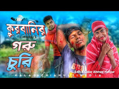 কুরবানির গরু চুরি Qurbanir Goru Chure Bangla Funny Video Kalagachia Multimedia