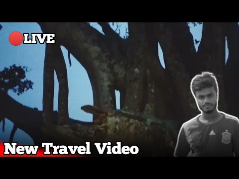 ভুতুড়ে বটগাছ | Vuture btgac Live New Travel Video 😶 Bangladesh Jessore| Bari1163Channal