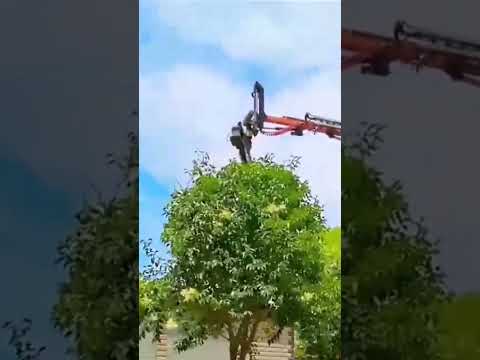 Pruning tool for round treetops- Good tools and machinery make work easy