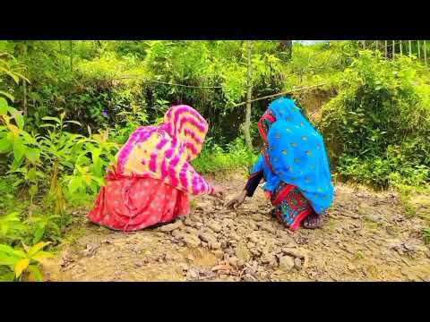 Sylheti bangla funny video Gofia Sasa #da_taali