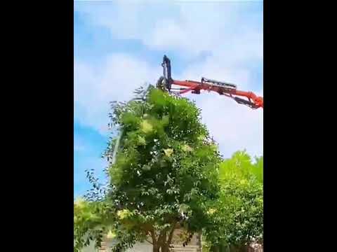 Pruning tool for round treetops- Good tools and machinery make work easy